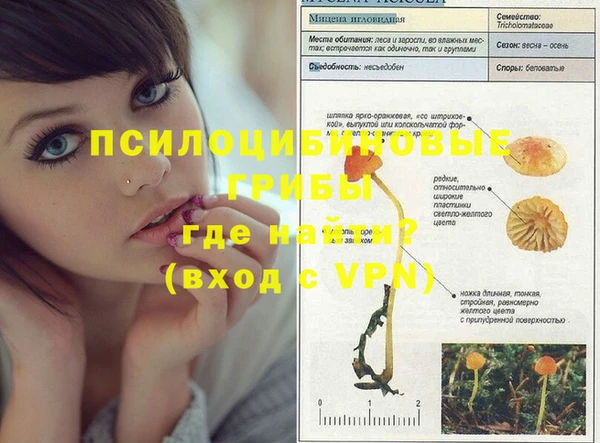 apvp Беломорск
