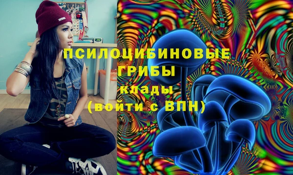 apvp Беломорск